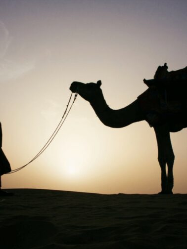 Trust in God, but tie your camel. | Annie Wright, LMFT | www.anniewright.com