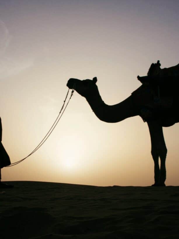 Trust in God, but tie your camel. | Annie Wright, LMFT | www.anniewright.com