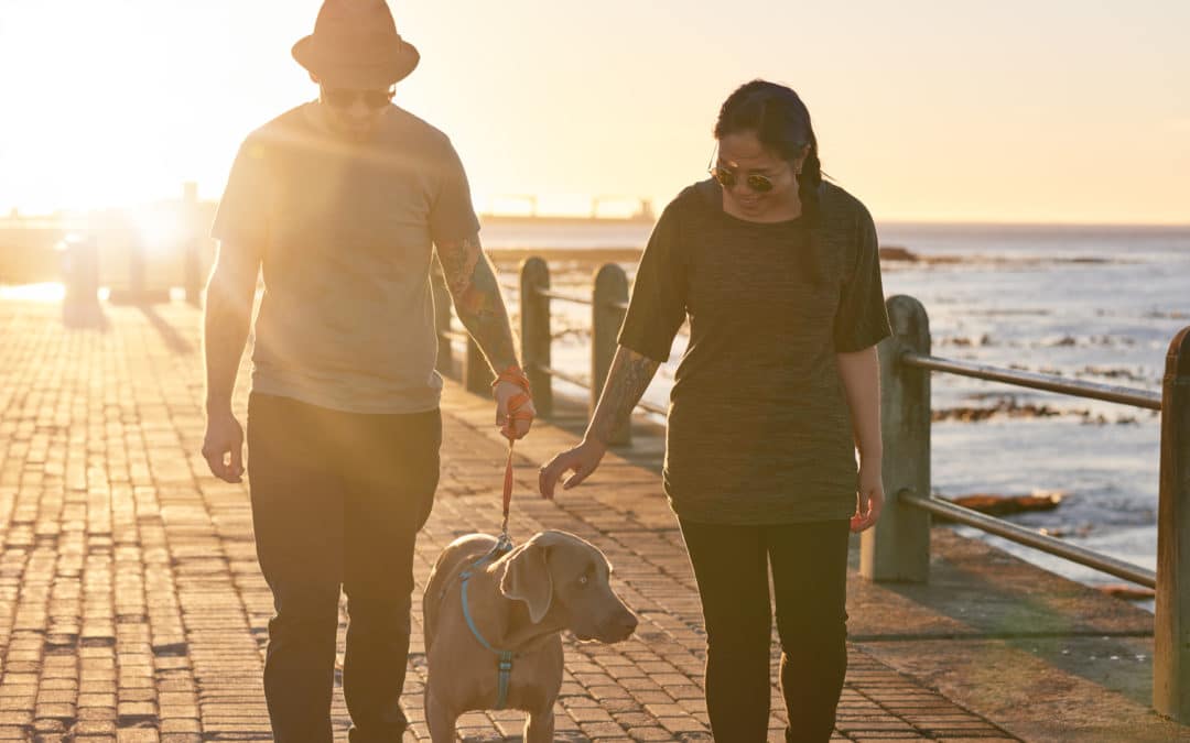 Want to strengthen your relationship? Learn your partner’s Love Language.