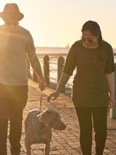 Want to strengthen your relationship? Learn your partner’s Love Language. | Annie Wright, LMFT | Berkeley, CA | www.anniewrightpsychotherapy.com
