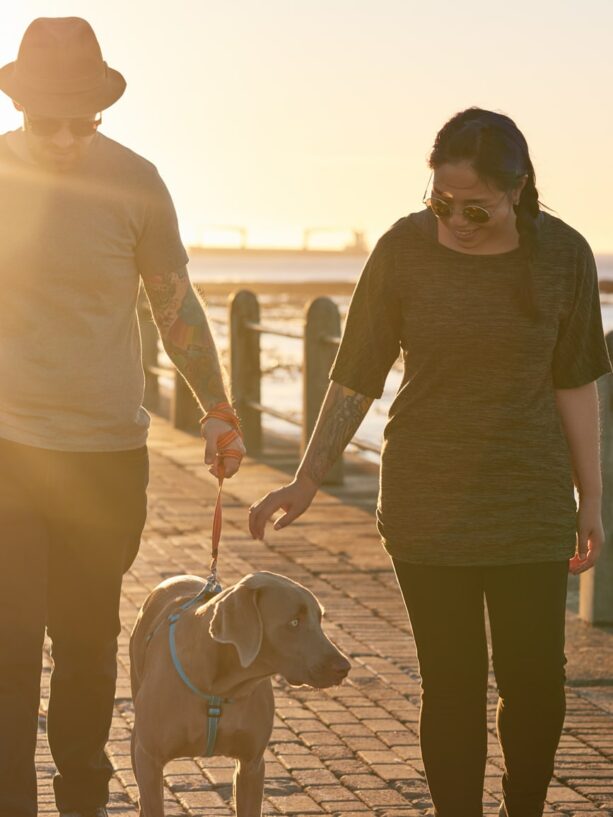 Want to strengthen your relationship? Learn your partner’s Love Language. | Annie Wright, LMFT | Berkeley, CA | www.anniewrightpsychotherapy.com
